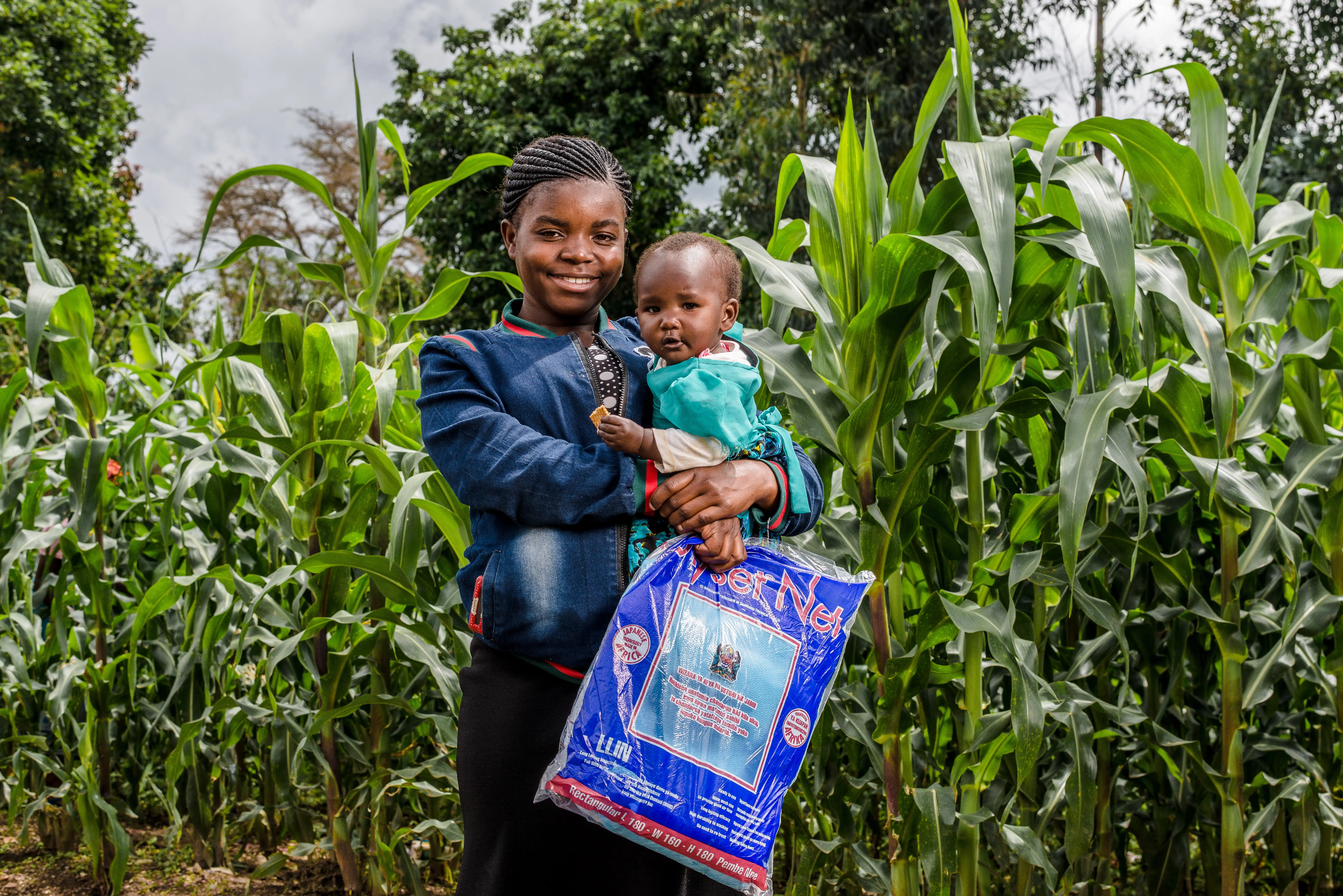 Express Courier Services